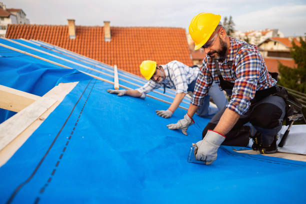 Best Roof Moss and Algae Removal  in Harrington Park, NJ